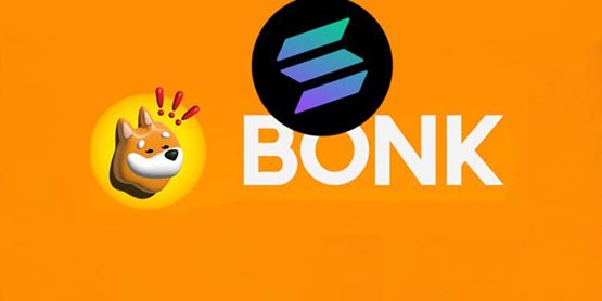 本周关注的Memecoins：BONK，FARTCOIN，NOBODY