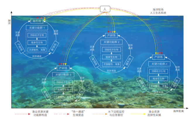 Solana生态系统在XXXX年的辉煌成就