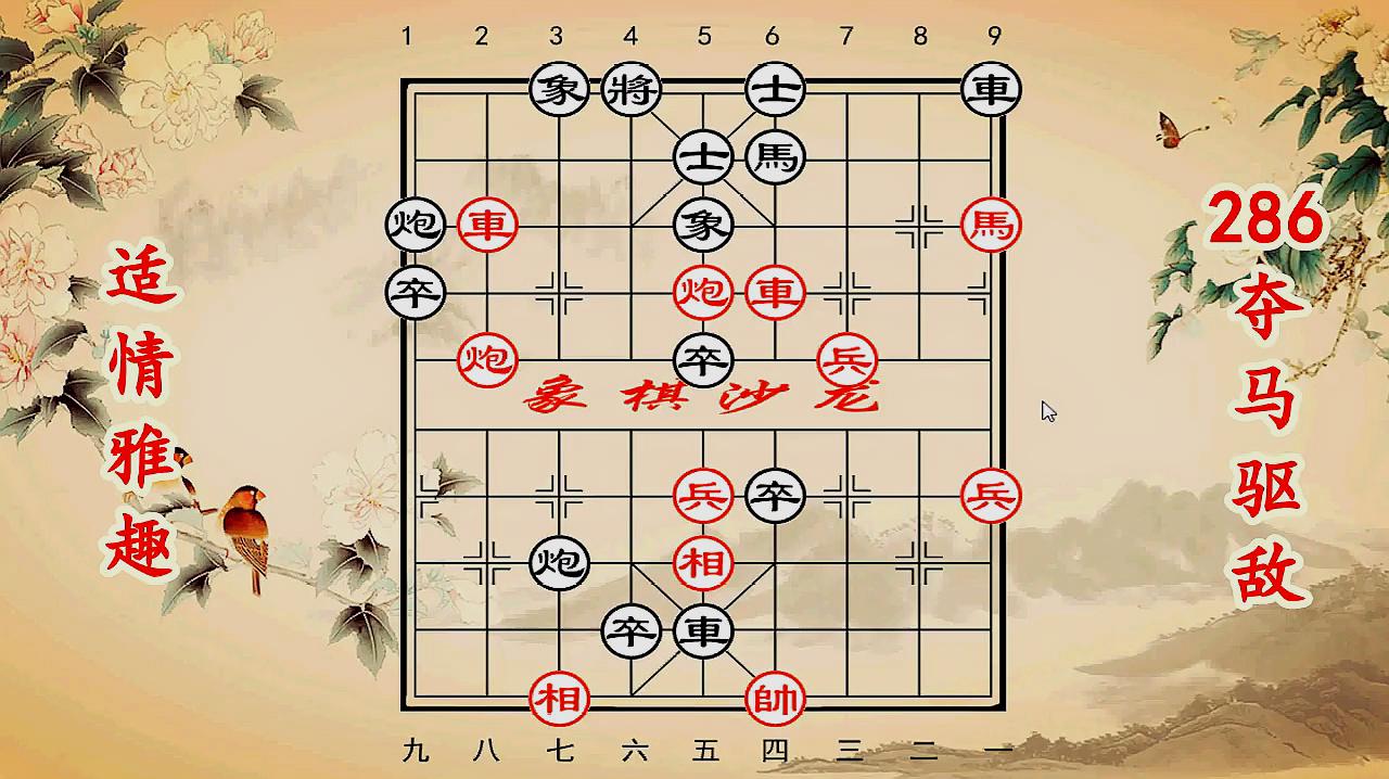 马后炮视角下的五码复试结构深度解析