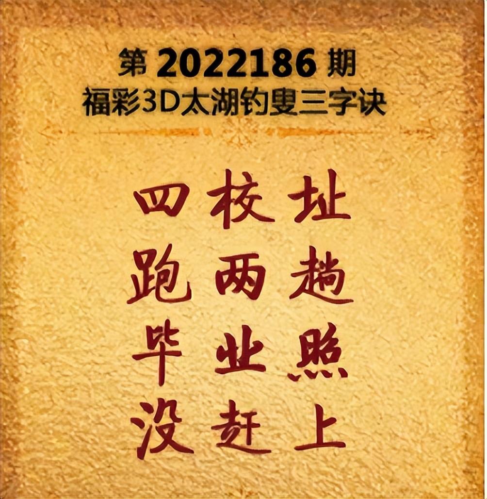 字谜走势解读与独胆线索揭秘