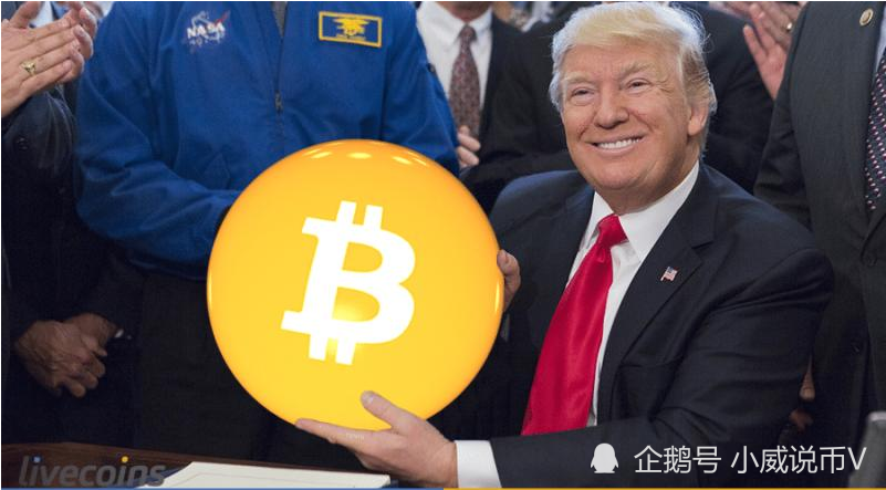 唐纳德·特朗普加密货币网站在代币发售后遭遇崩溃，探究背后的原因与影响