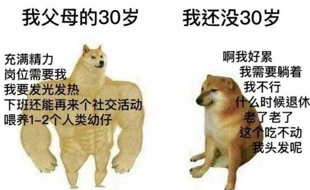 DOGE之后，SIMB能否成为下一个加密新星？