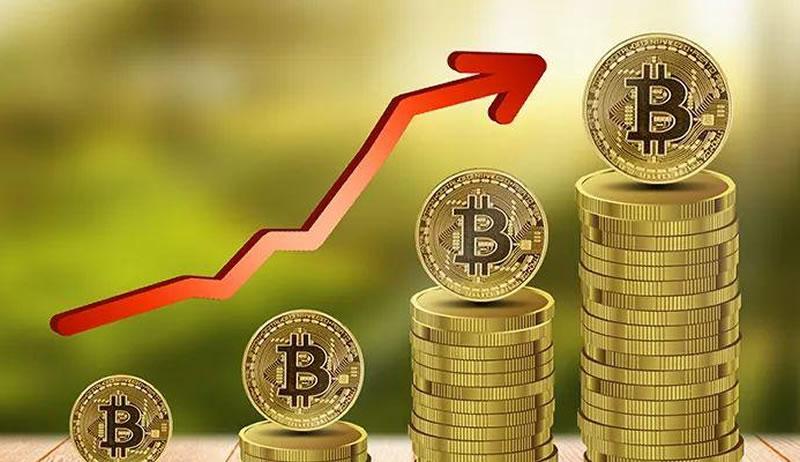 展望未来的加密股票，探寻2025年值得期待的潜力股