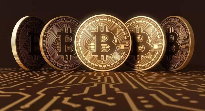 Ripple、Coinbase、Kraken与特朗普大下注，加密货币的未来展望