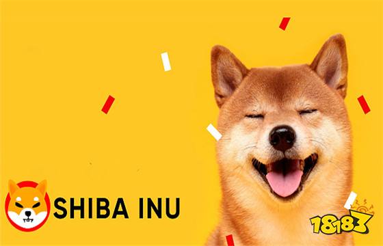 柴犬团队联系伊隆·马斯克，跨界合作与创新精神的融合