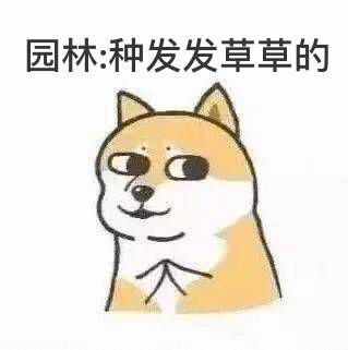 孙宇晨透露，Tron 制作表情包的新规则
