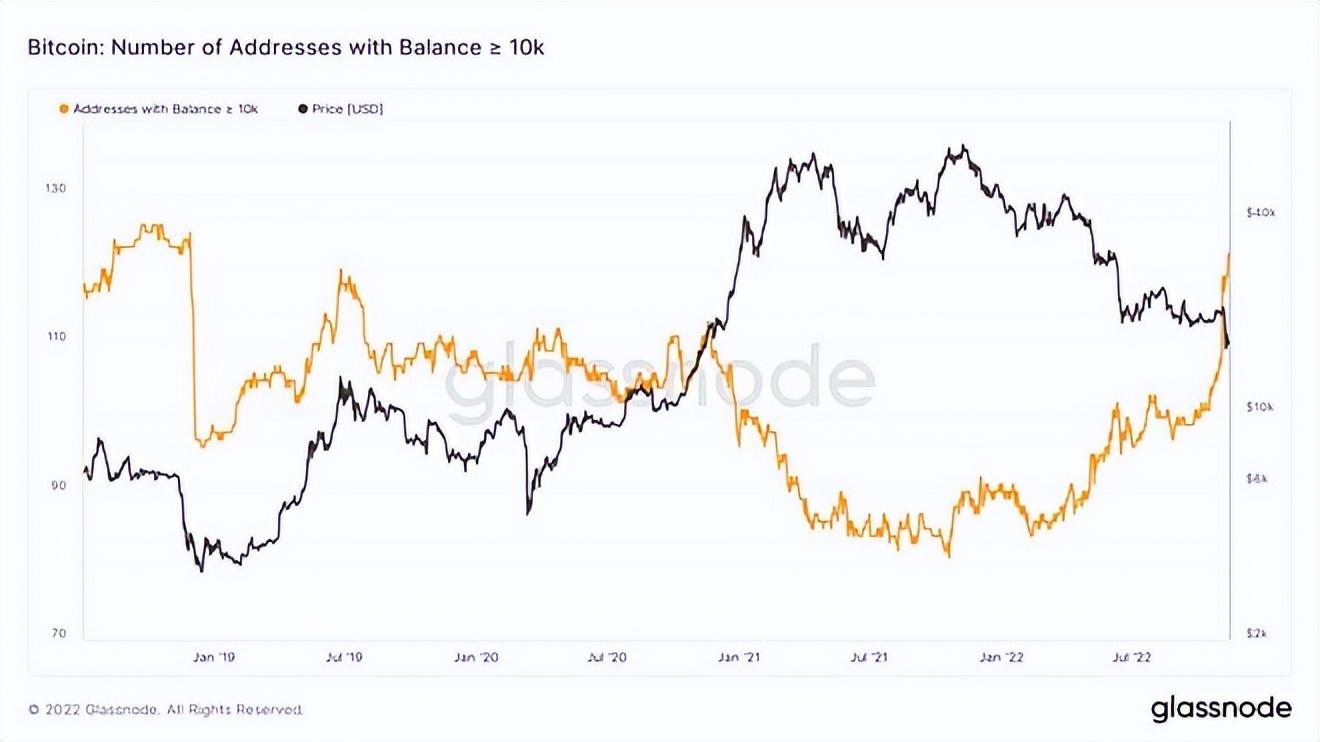 比特币多头减少1.06亿美元——Bitfinex BTC鲸鱼动向与未来走势预测