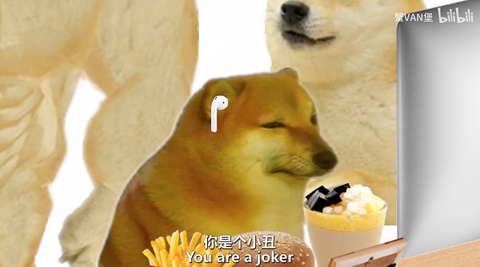Cheems，浴火重生的坚韧Memecoin