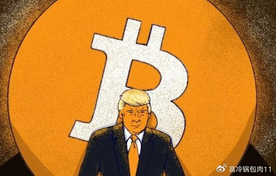 特朗普的加密货币计划，探索热门与不热门的加密货币领域