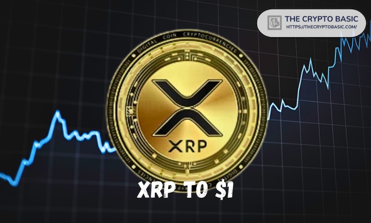 XRP价格面临下跌风险，深度解析背后的原因及可能触及的价位