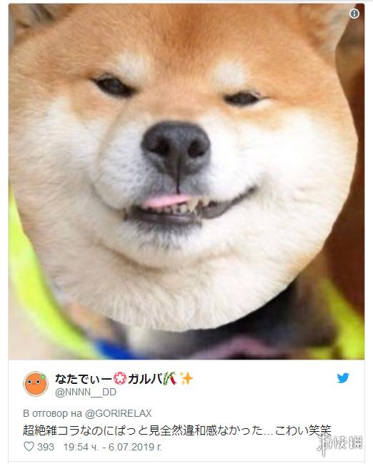 柴犬价格杯和手柄飙升70%