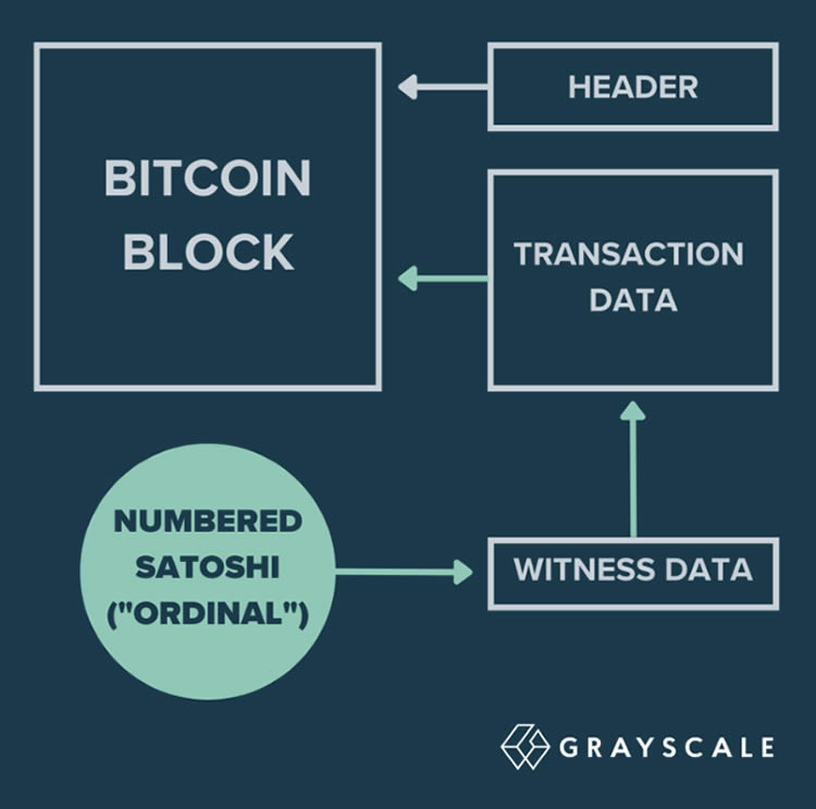 Bitget钱包在多链扩展中全面集成Berachain，引领数字资产管理的创新之路