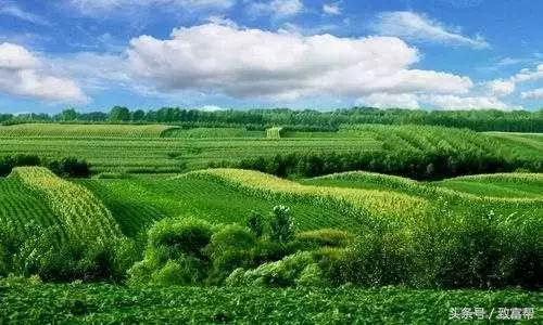 巴基斯坦成立加密货币委员会，区块链技术与金融格局的融合之道