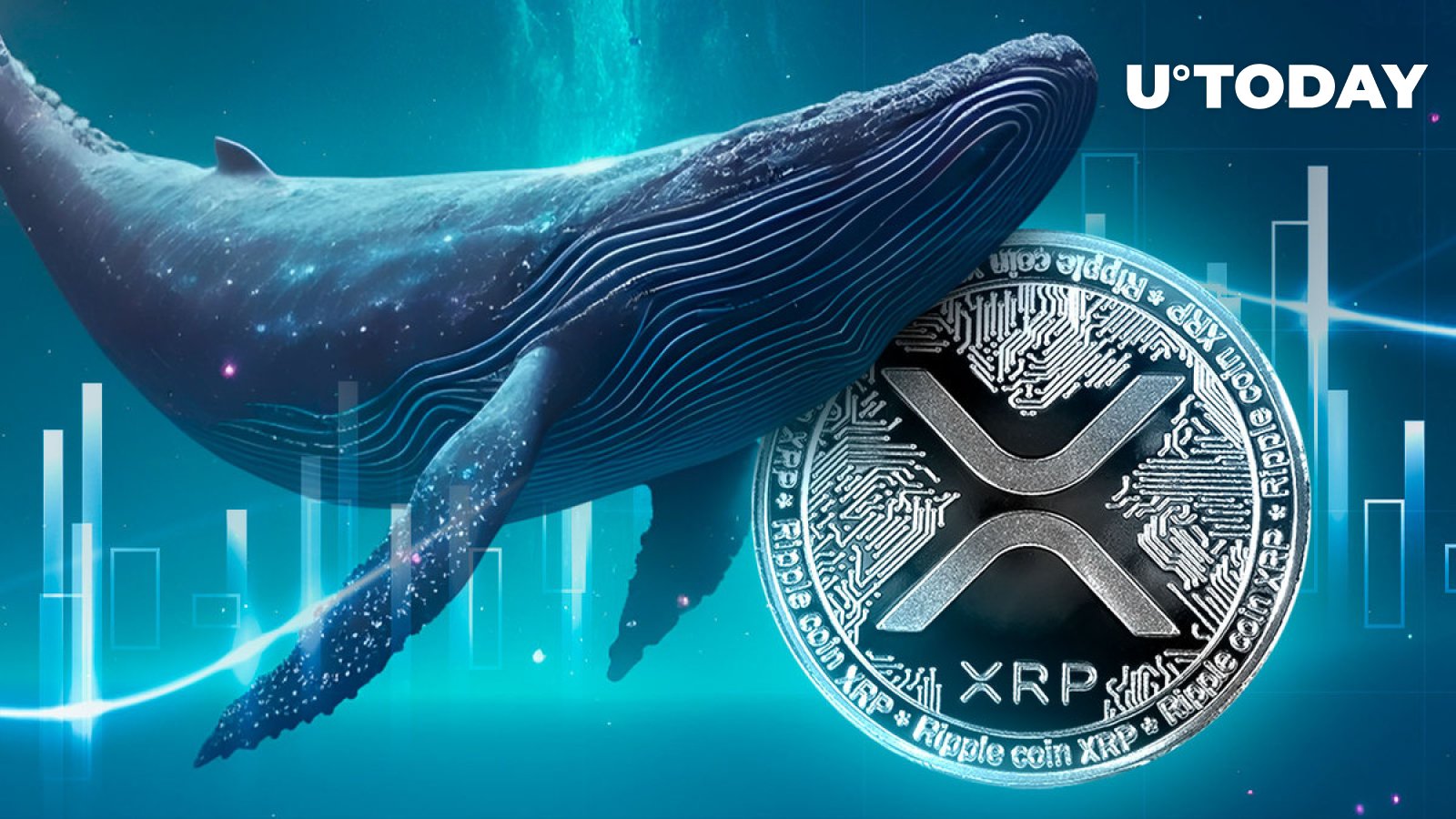 XRP价格逆袭，鲸鱼投资者引领市场反弹之路