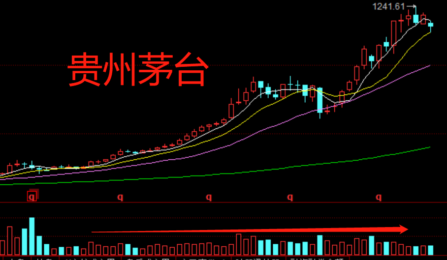 试机号走势观察与独胆模型深度探究