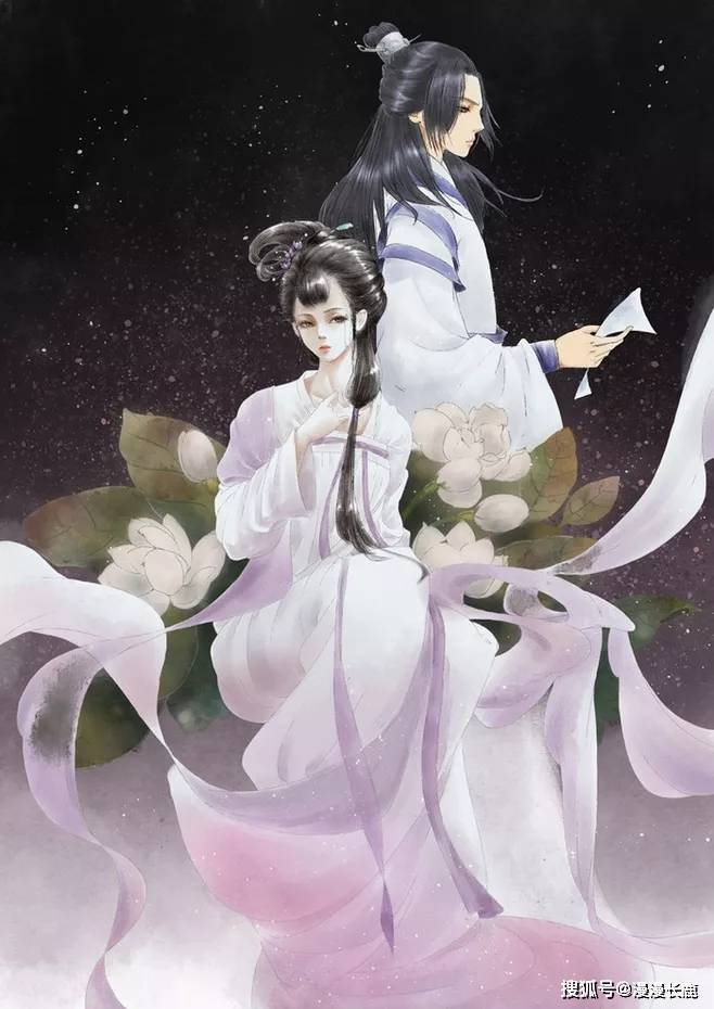 苏忆穿书，一场穿越改写命运的奇幻之旅